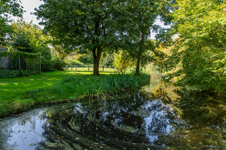 Bekijk foto 43 van Van de Woestijneheem 91