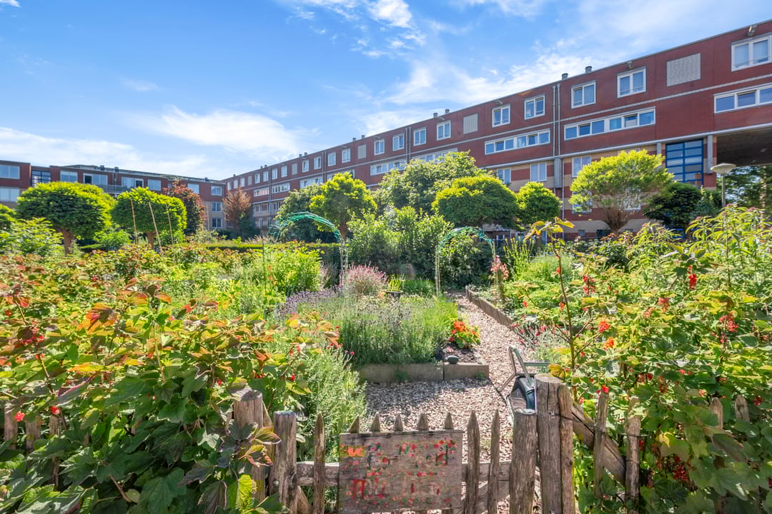 Photo 26 of Kolfschotenstraat 76