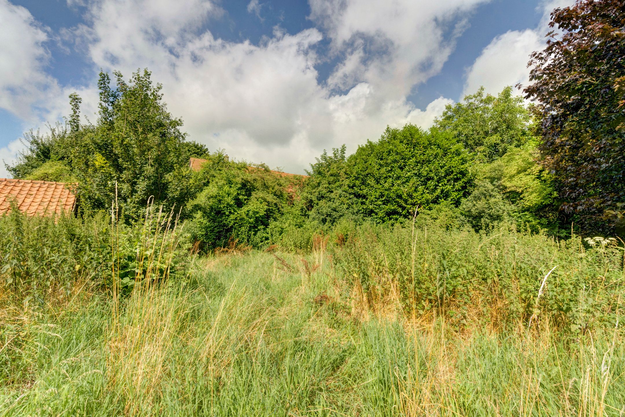 Foto 30 van Nieuwstraat 49