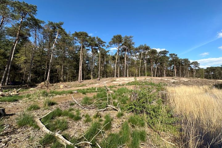 Bekijk foto 46 van Valkenswaardseweg 37