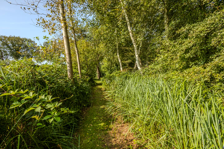 Bekijk foto 59 van Oshaarseweg 23