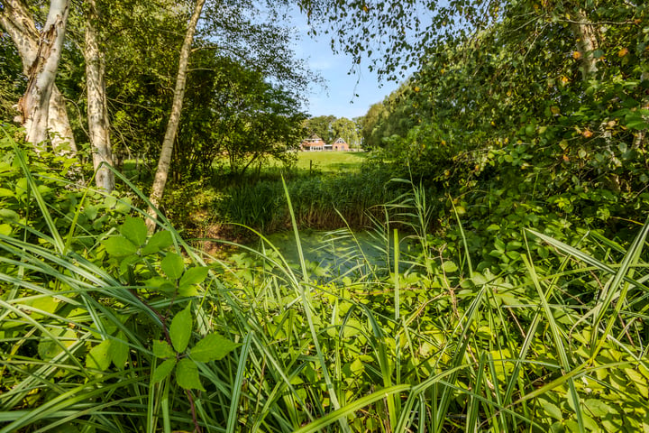 Bekijk foto 61 van Oshaarseweg 23