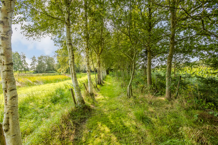 Bekijk foto 63 van Oshaarseweg 23