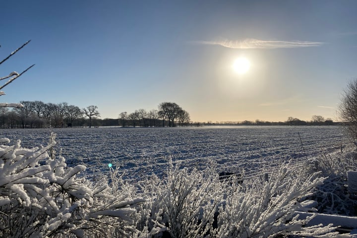 Bekijk foto 65 van Oshaarseweg 23