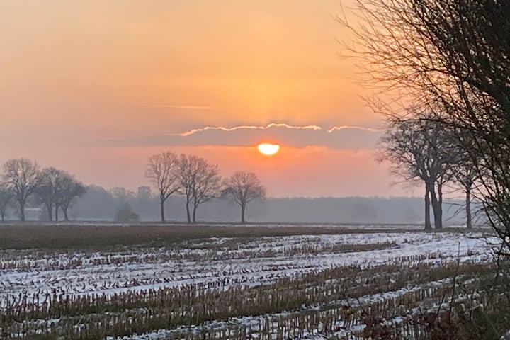 Bekijk foto 66 van Oshaarseweg 23