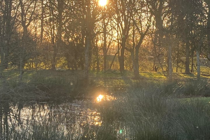 Bekijk foto 67 van Oshaarseweg 23