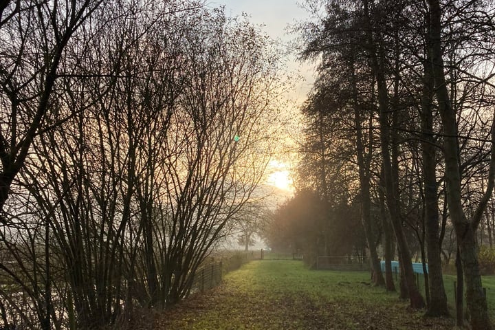 Bekijk foto 68 van Oshaarseweg 23