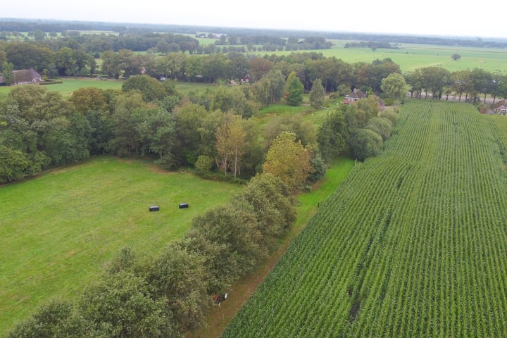 Bekijk foto 50 van Oshaarseweg 23