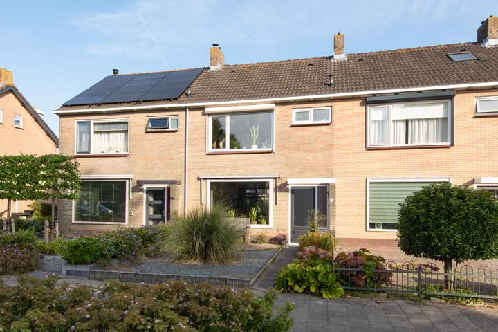 undefined main image