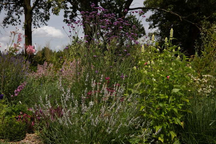 Foto 75 van Avelsberg 16