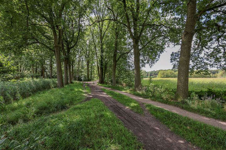 Bekijk foto 4 van Haagwinde 16