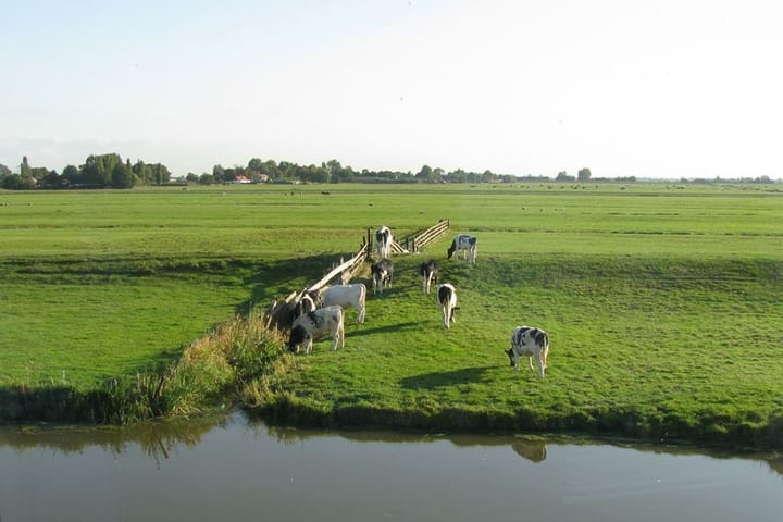 Foto 31 van Middenstip 16