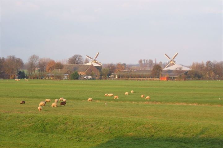 Bekijk foto 33 van Middenstip 16