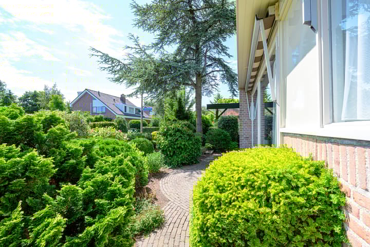 Foto 59 van Watermolen 4