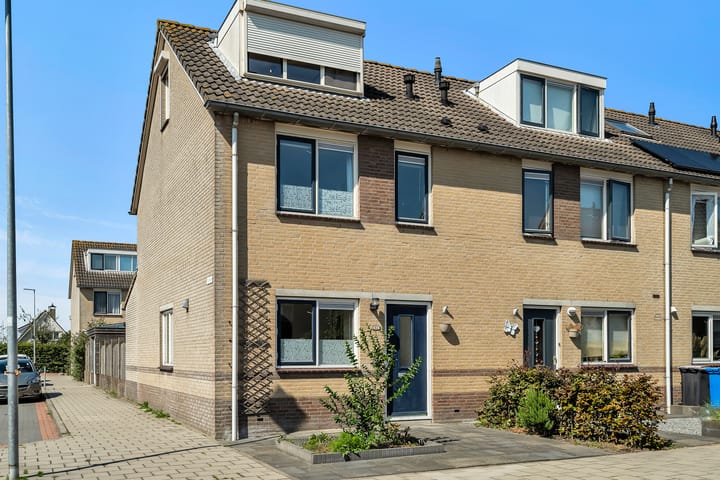 undefined main image