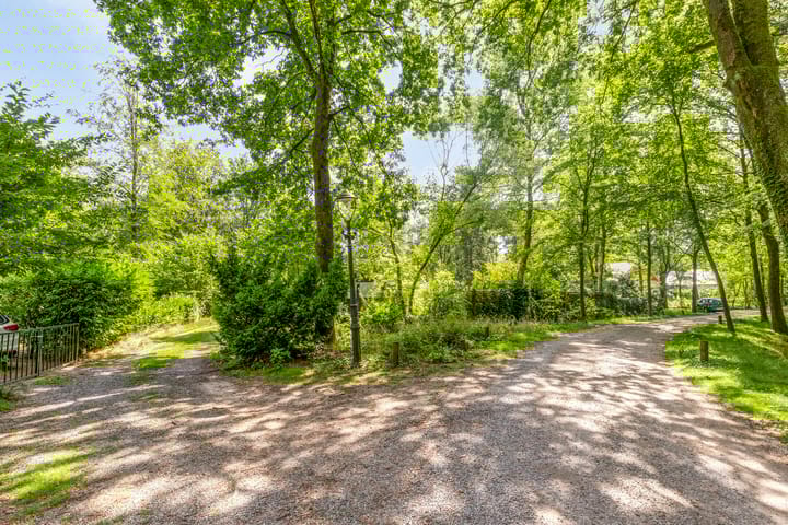 Foto 6 van De Stille Wille 100