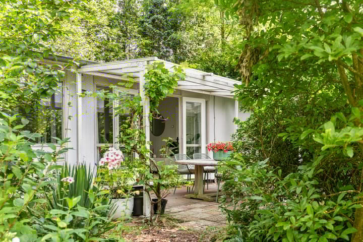 Foto 22 van De Stille Wille 100