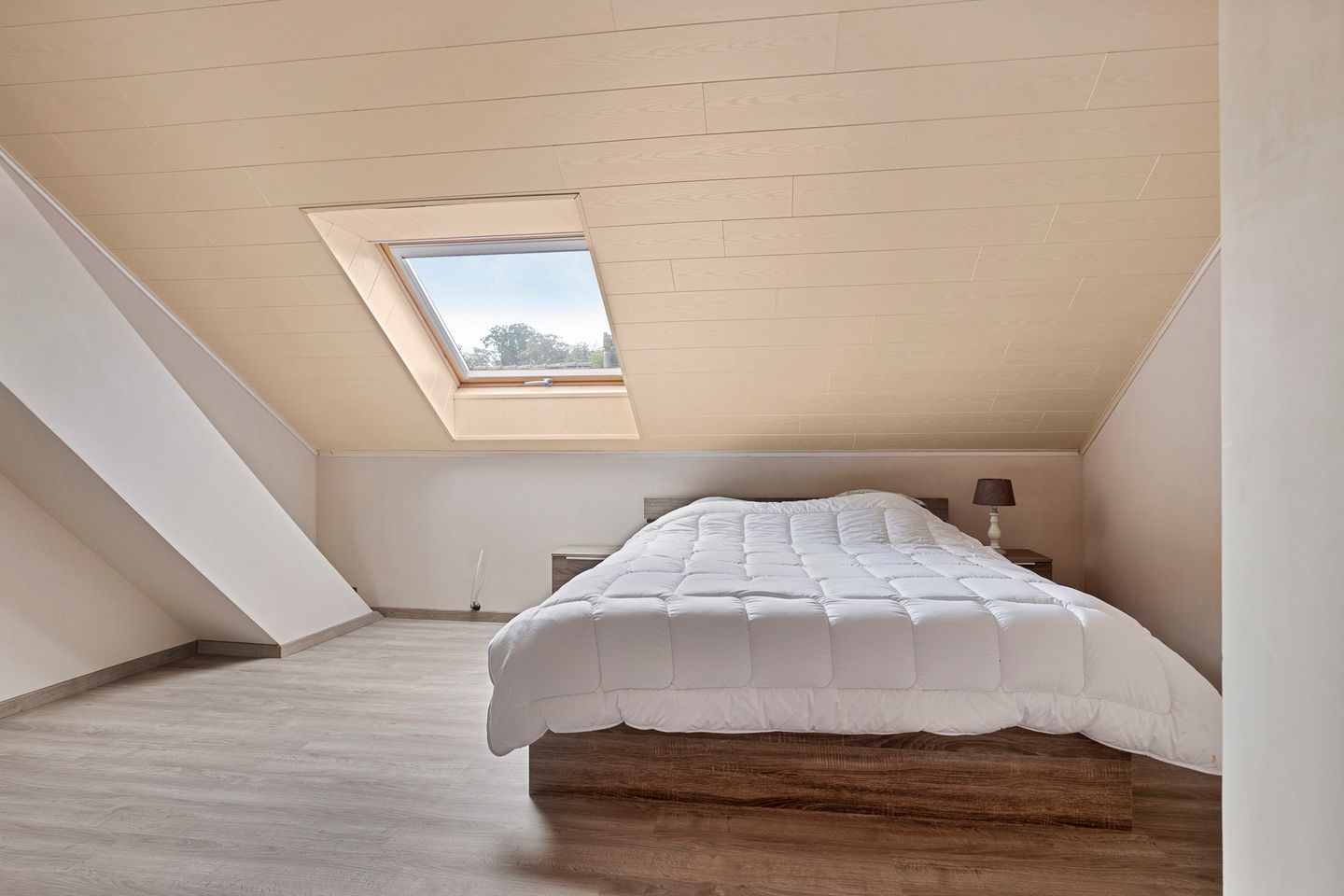 Foto 5 van Hombachstraat 12