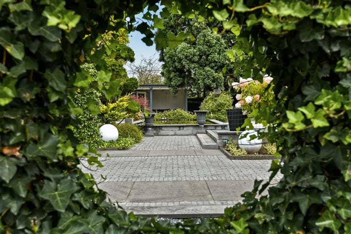 Foto 28 van Notarisappel 51