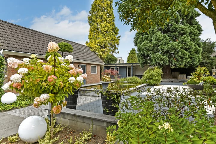 Foto 7 van Notarisappel 51