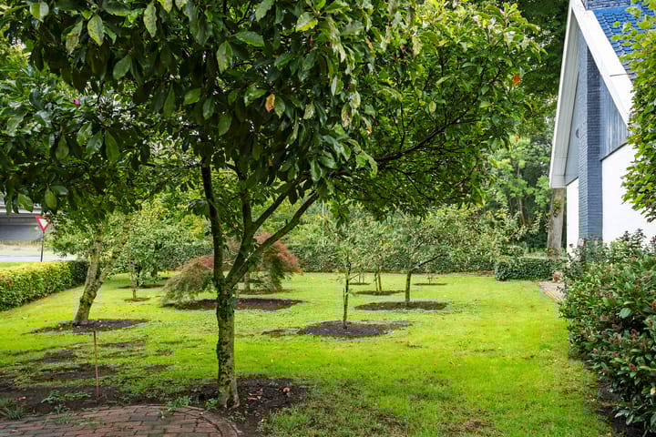 Foto 39 van Schoolstraat 15