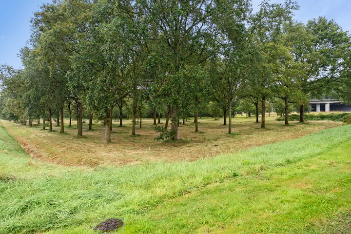 Foto 46 van Schoolstraat 15