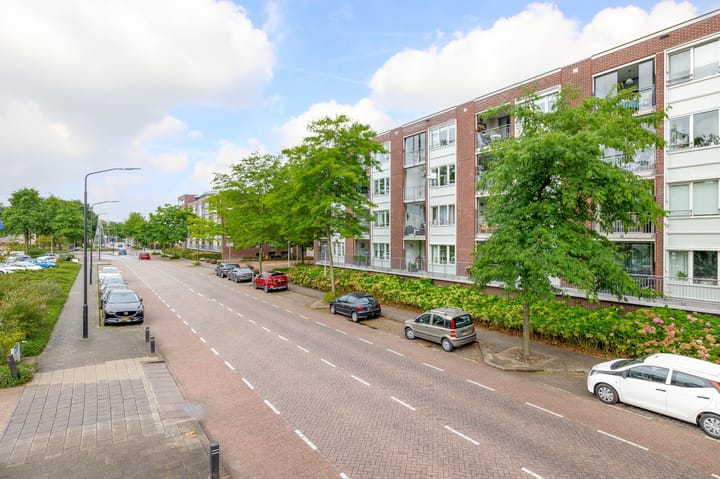 Foto 6 van Plantageweg 132-C