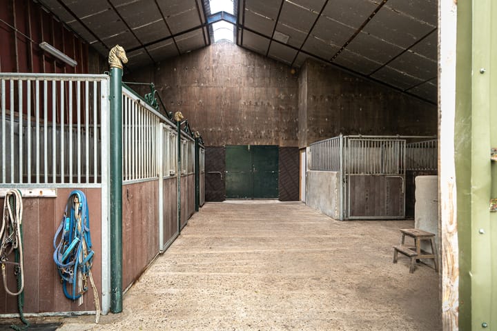 Foto 85 van Sigerswâld 15