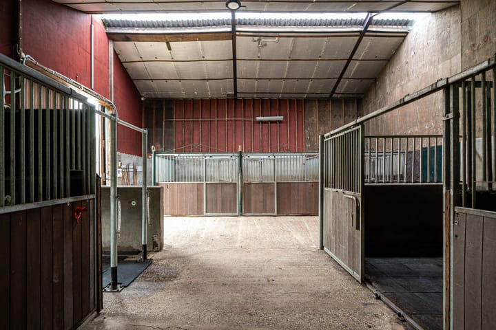 Foto 86 van Sigerswâld 15