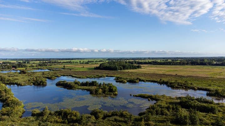 Foto 93 van Sigerswâld 15