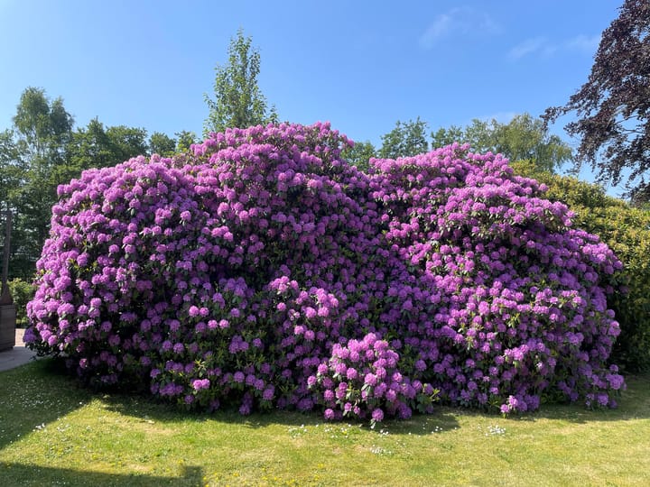 Foto 95 van Sigerswâld 15