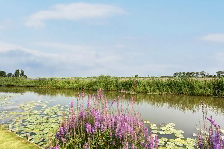 Foto 3 van Dorpsstraat 966