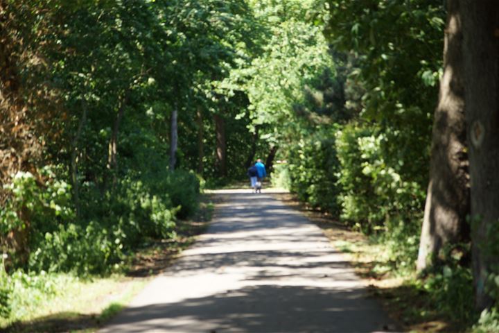 Bekijk foto 41 van Veldzigt 19