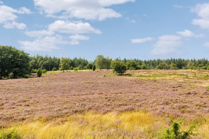 Bekijk foto 12 van Langsweg