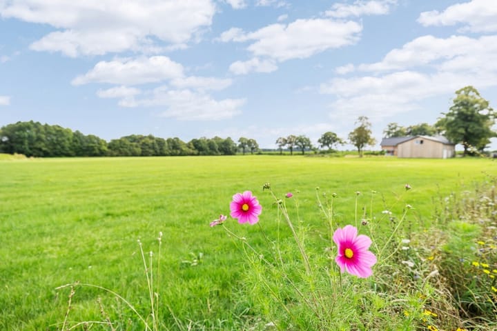 Foto 19 van Langsweg