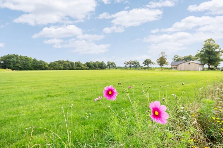 Bekijk foto 19 van Langsweg