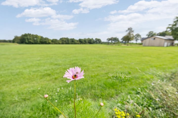 Bekijk foto 20 van Langsweg