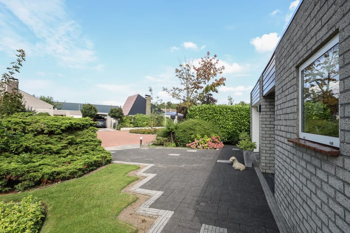 Foto 9 van De Gorzen 6