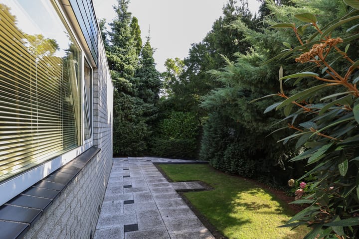 Foto 53 van De Gorzen 6