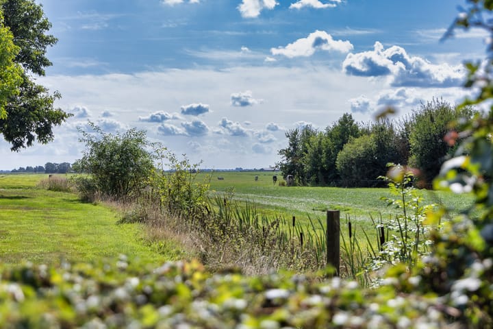 Foto 2 van Gaestdyk 43