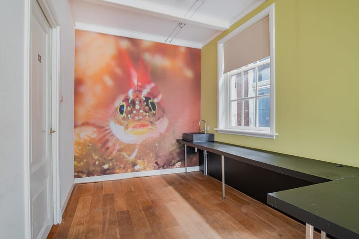 Foto 10 van Haddingestraat 20