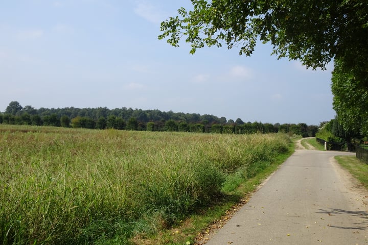 Bekijk foto 10 van Hogehoek