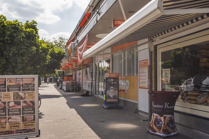 Bekijk foto 46 van Lijsterlaan 20