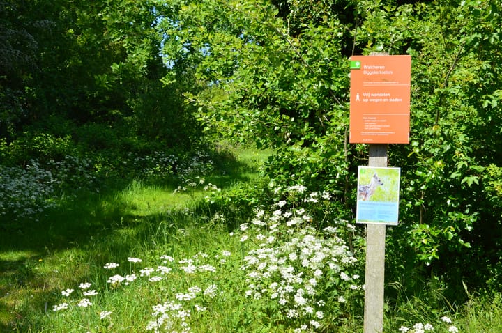 Foto 70 van Koudekerkseweg 6