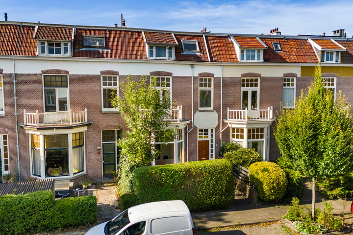 Bekijk foto van Vredeman de Vriesstraat 56