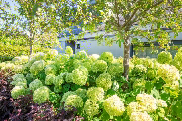 Foto 93 van Fort Oranje 10