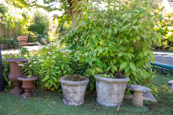 Foto 98 van Fort Oranje 10