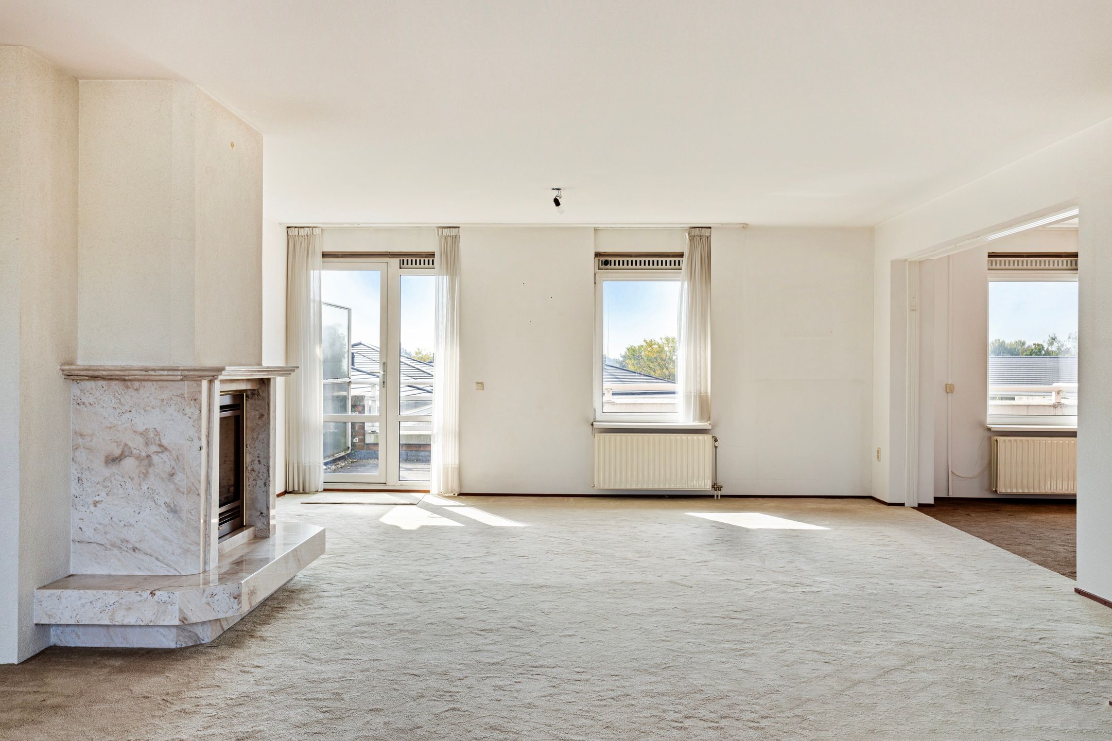 Foto 9 van de Hofnar 45