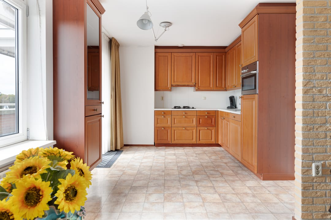 Foto 11 van de Hofnar 45