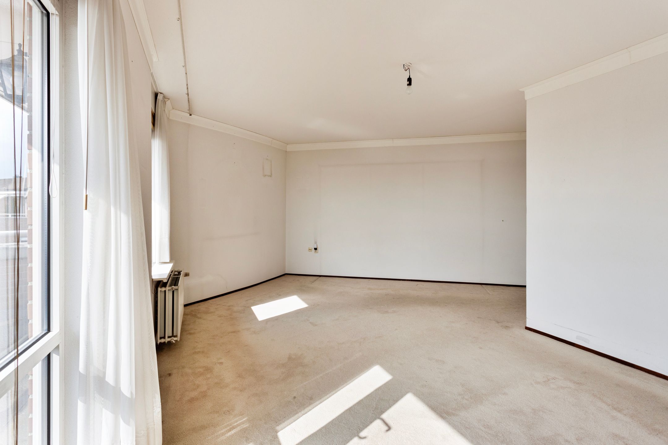 Foto 18 van de Hofnar 45